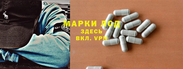 a pvp Аркадак