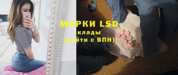 a pvp Аркадак